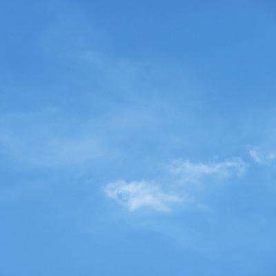 IC4592：蓝马头反射星云